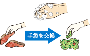 生魚を触れた後、手洗いをしてから衛生手袋を新しいものに替えてから野菜に触れているイラスト。