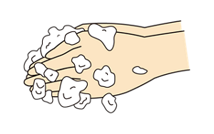 両手の平をこすり合わせ泡立てるイラスト