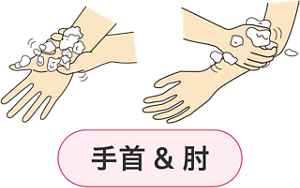 手首を別の手で握り洗うイラストと、肘を別の手でこすり洗うイラスト