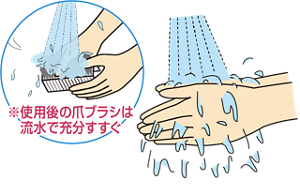 流水で使用後の爪ブラシをすすいでいるイラストと、両手をこすりすすぎしているイラスト