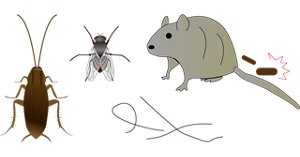 ゴキブリ・ハエ・ネズミの毛やフンのイラスト。