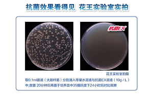 product_detail8_content-img6-m