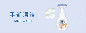 手部清洁 HAND WASH