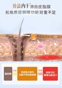 外油内干 源自皮脂膜 和角质层屏障功能双重不足