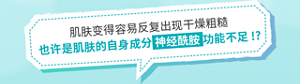 肌肤变得容易反复出现干燥粗糙 也许是肌肤的自身成分 神经酰胺 功能不足!?