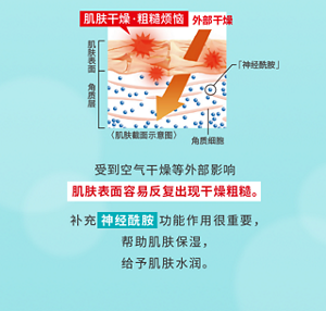 受到空气干燥等外部影响 肌肤表面容易反复出现干燥粗糙。补充 神经酰胺 功能作用很重要，帮助肌肤保湿，给予肌肤水润。