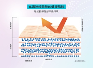 充满神经酰胺的健康肌肤 轻松抵御外部干燥环境