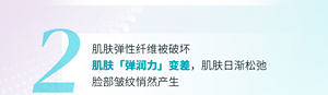 2 肌肤弹性纤维被破坏 肌肤「弹润力」变差，肌肤日渐松弛 脸部皱纹悄然产生