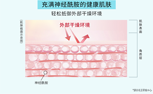 充满神经酰胺的健康肌肤 轻松抵御外部干燥环境