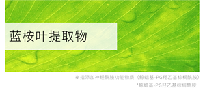 蓝桉叶提取物 ※指添加神经酰胺功能物质（鲸蜡基-PG羟乙基棕榈酰胺） *鲸蜡基-PG羟乙基棕榈酰胺