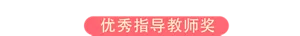 优秀指导教师奖