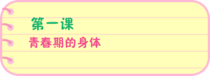 第一课 青春期的身体