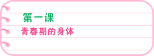 第一课 青春期的身体