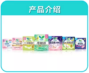 产品介绍