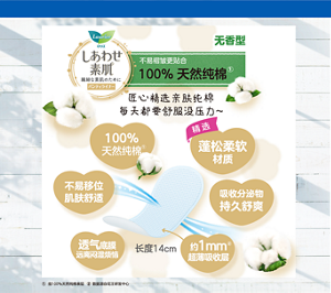 21.4.21进口护垫祛味OL