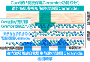 hk_ceramide_care_03