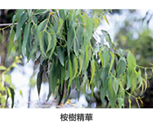 hk_ceramide_care_05_0216