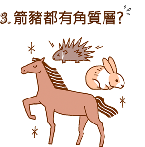 3. 箭豬都有角質層?