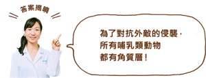 為了對抗外敵的侵襲， 所有哺乳類動物 都有角質層！