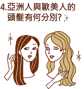 4. 亞洲人與歐美人的 頭髮有何分別?