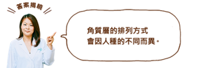 角質層的排列方式 會因人種的不同而異。