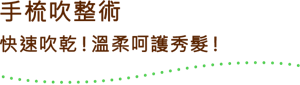 手梳吹整術快速吹乾！溫柔呵護秀髮！ 