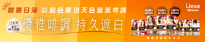 Liese Blauné 泡泡染髮劑 – 優雅啡調髮色