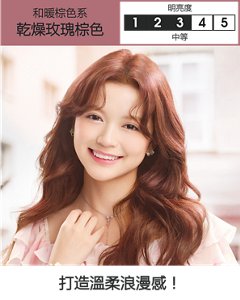 乾燥玫瑰棕色  中等