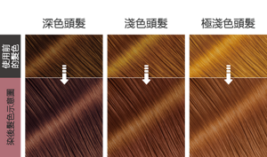 乾燥玫瑰棕色  染後髮色示意圖