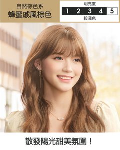 蜂蜜戚風棕色  較淺色