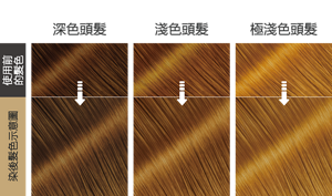蜂蜜戚風棕色  染後髮色示意圖