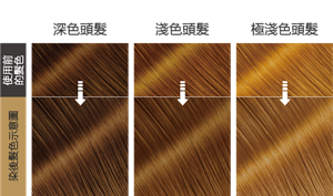 奶茶棕色  染後髮色示意圖