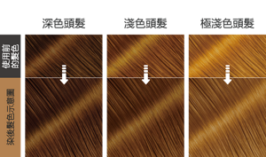 棉花糖棕色  染後髮色示意圖