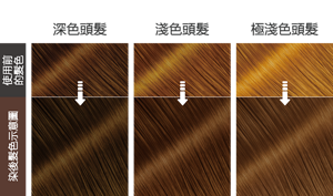 巧克力棕色  染後髮色示意圖