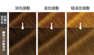 松果灰棕色  染後髮色示意圖