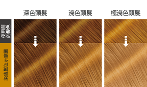 琥珀閃棕  染後髮色示意圖
