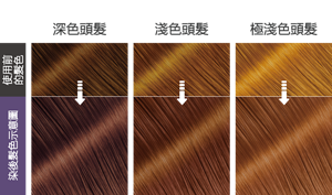 水晶紫羅蘭色  染後髮色示意圖