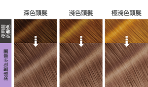 星雲幻紫  染後髮色示意圖