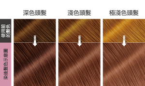 輕甜莓粉色   染後髮色示意圖