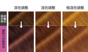 星光玫瑰 染後髮色示意圖