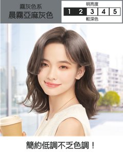 晨霧亞麻灰色  較深色