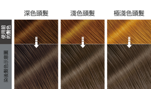 晨霧亞麻灰色  染後髮色示意圖