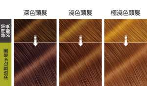 青檸亞麻灰色   染後髮色示意圖