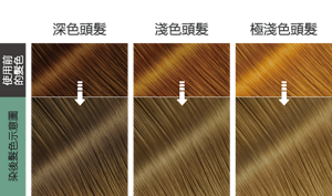 薄荷亞麻灰色  染後髮色示意圖