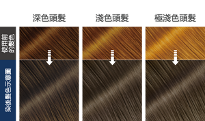 午夜灰藍色   染後髮色示意圖