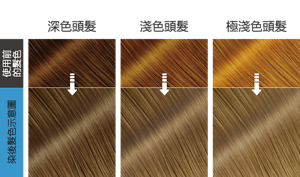 極光藍灰   染後髮色示意圖