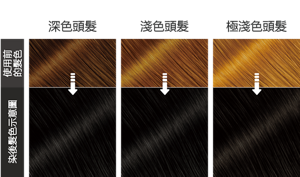 自然黑色   染後髮色示意圖