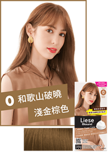 0 和歌山破曉淺金棕色