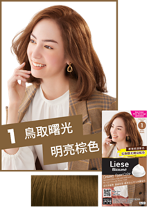 1 鳥取曙光明亮棕色