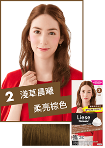 2 淺草晨曦柔亮棕色